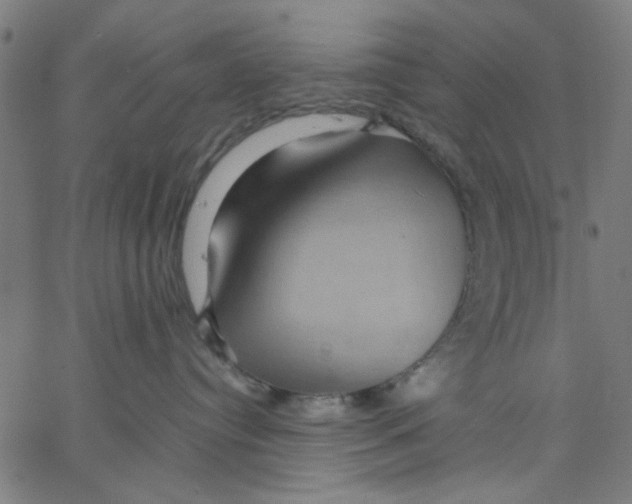 X0000067500384200604281549