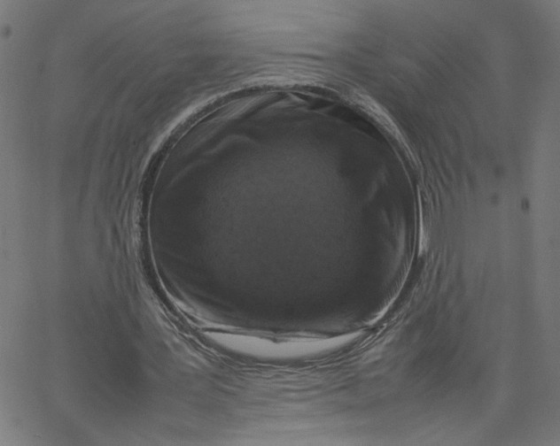X0000067500387200604281548