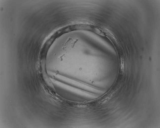 X0000067500388200604281548