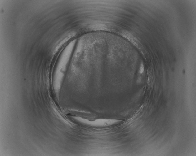 X0000067500390200604281548