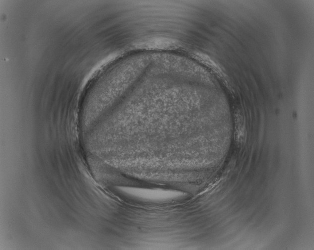 X0000067500392200604281548