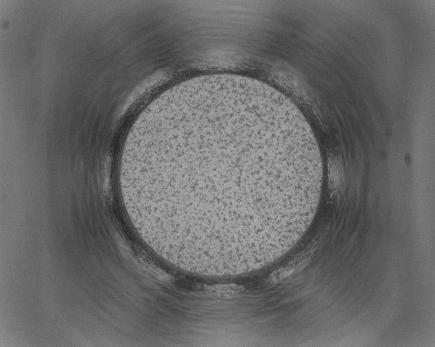 X0000067500396200604281548