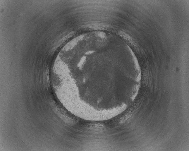 X0000067500398200604281548