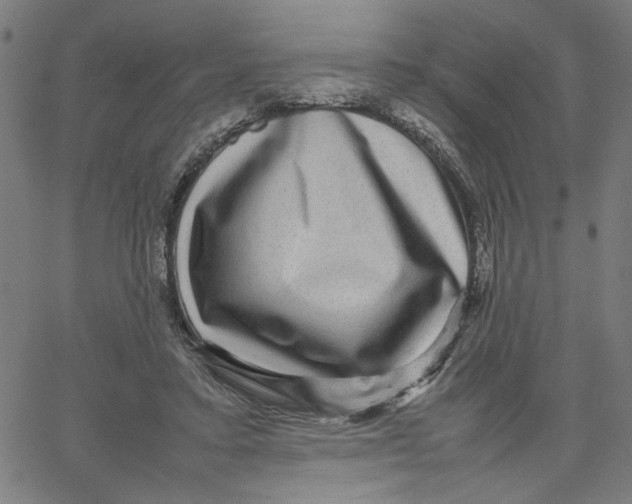 X0000067500403200604281548
