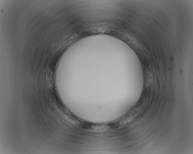 X0000067500414200604281548