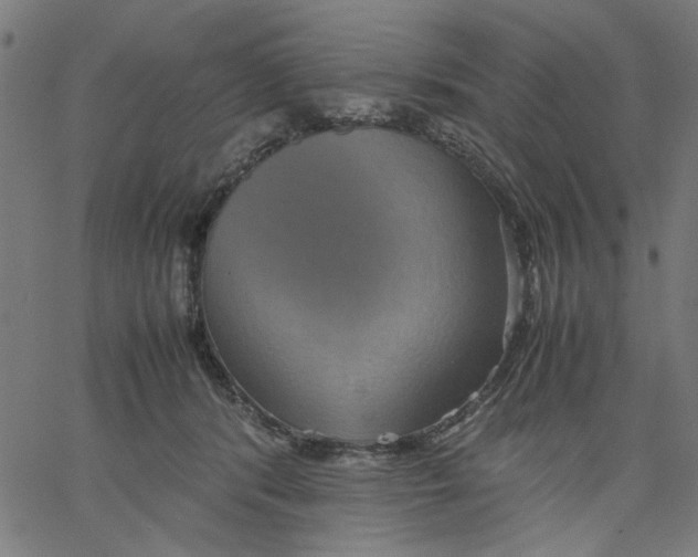 X0000067500416200604281548
