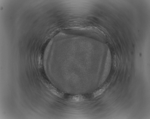 X0000067500420200604281548