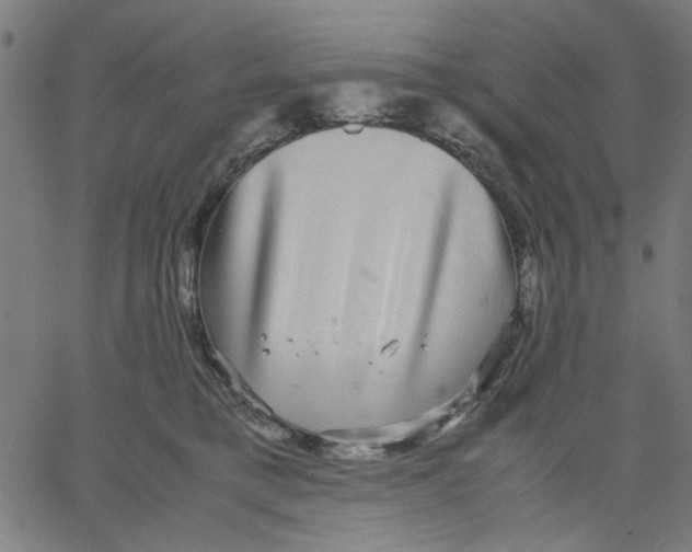 X0000067500421200604281548