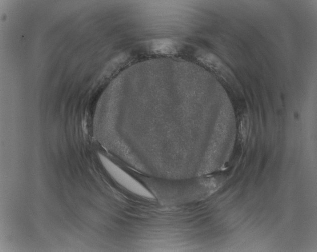 X0000067500424200604281547