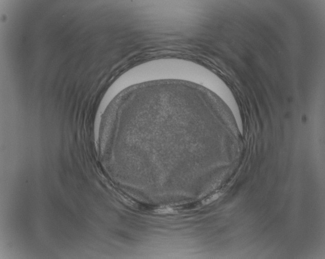 X0000067500425200604281547