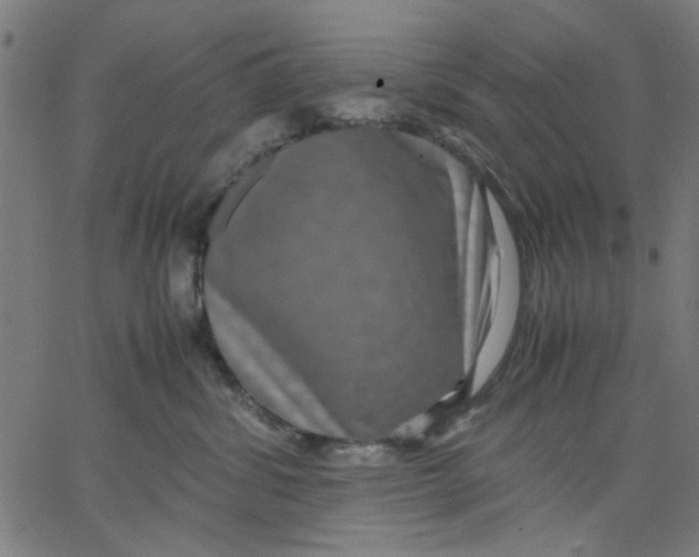 X0000067500428200604281547