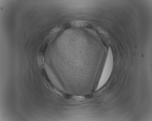 X0000067500429200604281547