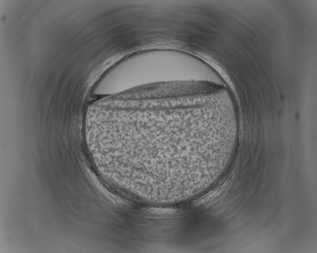 X0000067500437200604281547