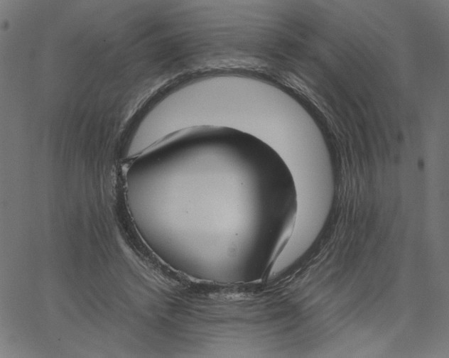 X0000067500448200604281547