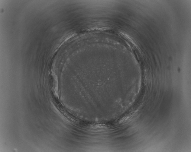X0000067500451200604281547