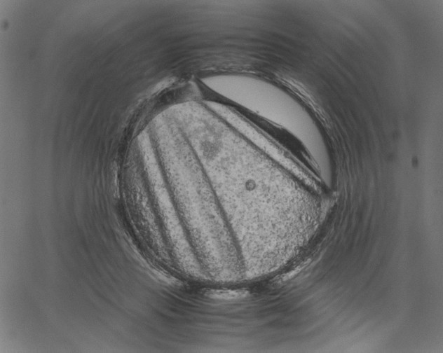 X0000067500453200604281547