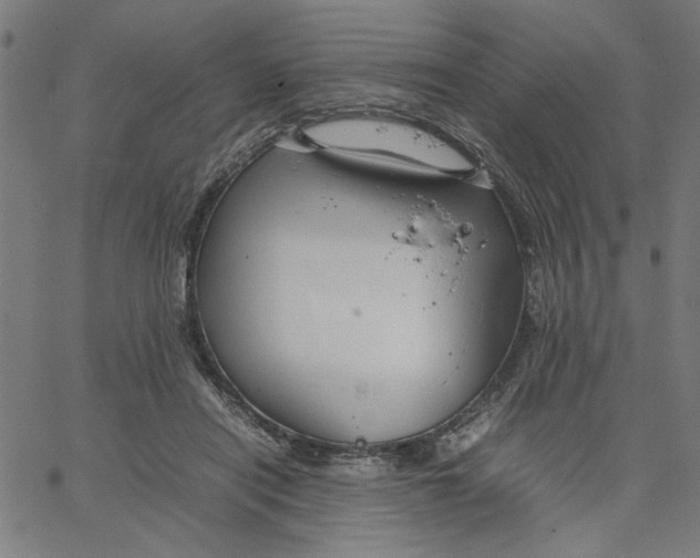 X0000067500454200604281547