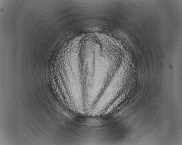 X0000067500457200604281547