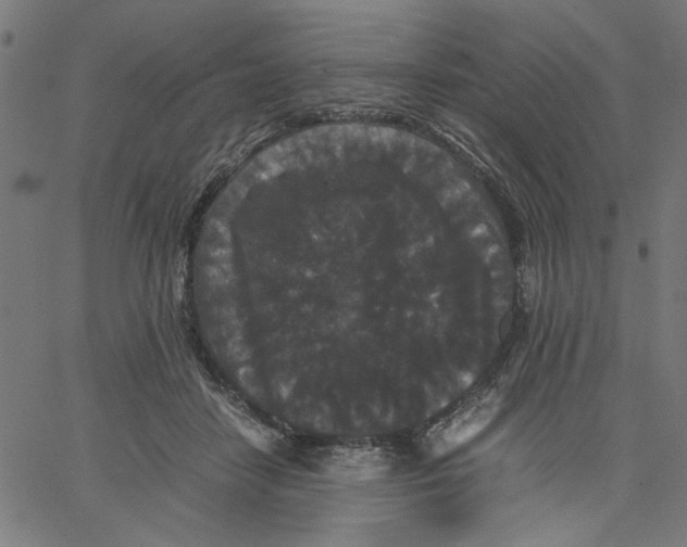 X0000067500458200604281547