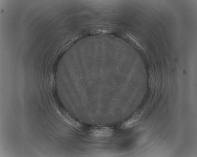 X0000067500459200604281547