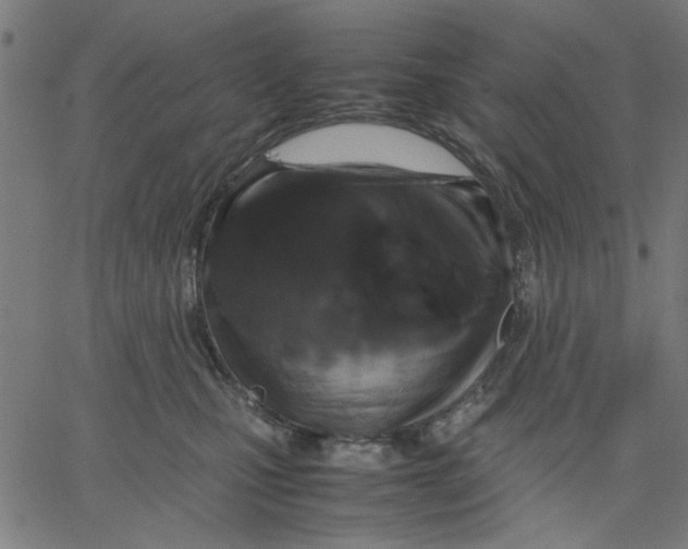 X0000067500471200604281547