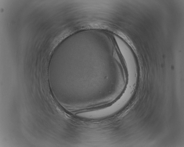 X0000067500481200604281547