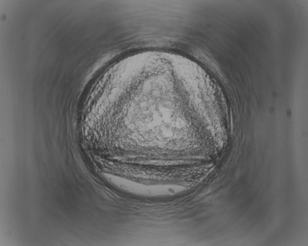 X0000067500483200604281547