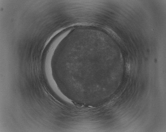 X0000067500484200604281547