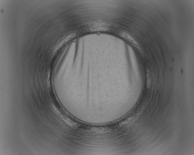 X0000067500490200604281546