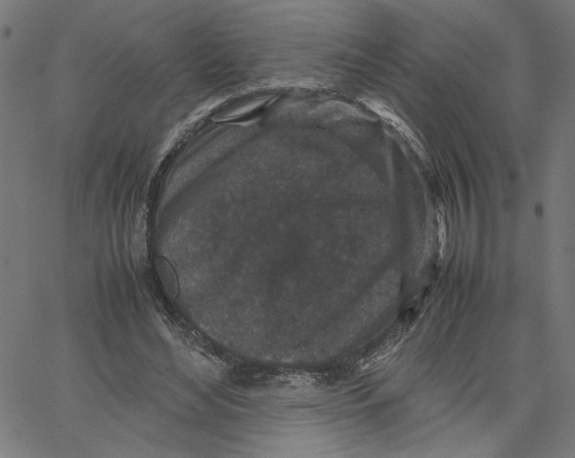 X0000067500492200604281546