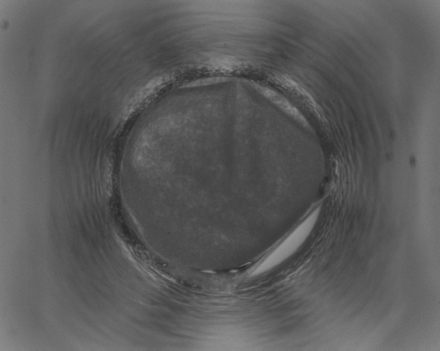 X0000067500496200604281546