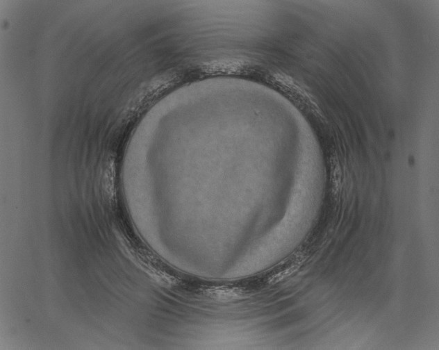 X0000067500498200604281546
