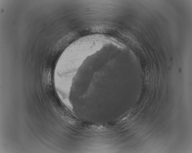 X0000067500502200604281546