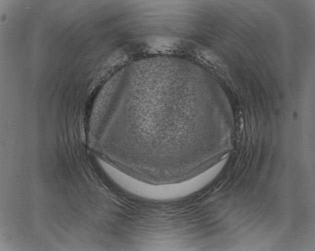 X0000067500508200604281546