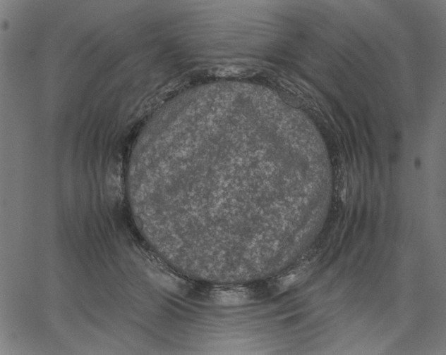 X0000067500510200604281546