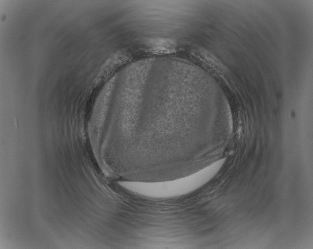 X0000067500512200604281546