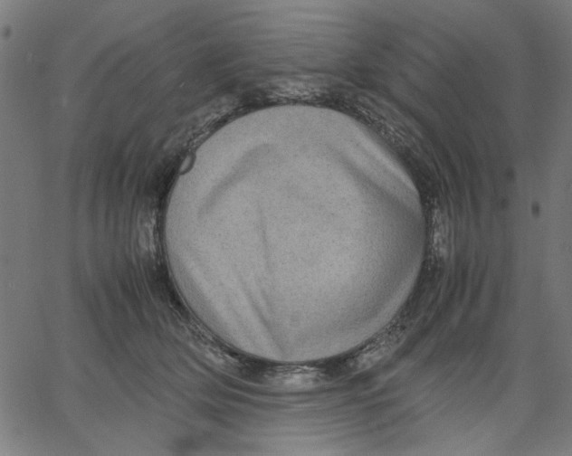 X0000067500514200604281546