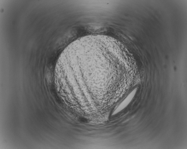 X0000067500515200604281546