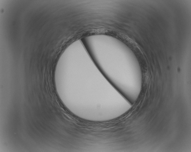 X0000067500517200604281546