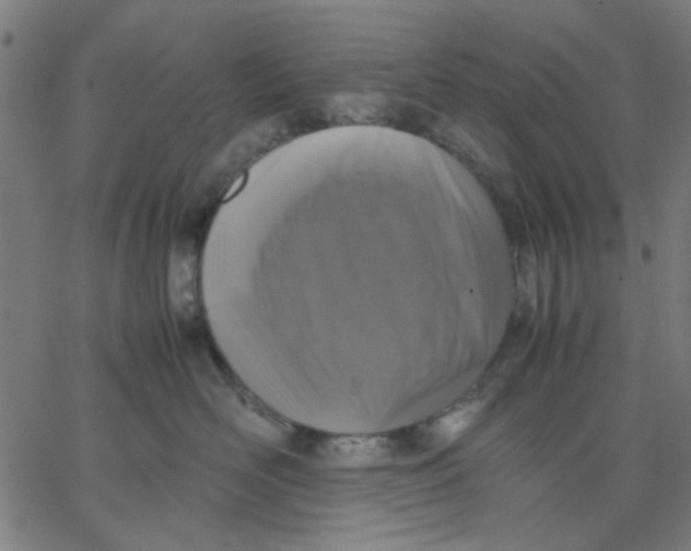 X0000067500526200604281546