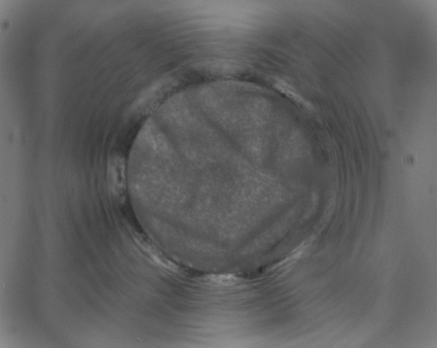 X0000067500528200604281546