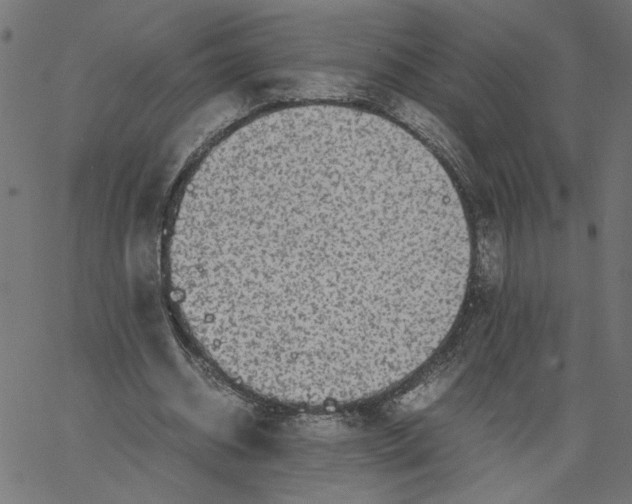 X0000067500534200604281545