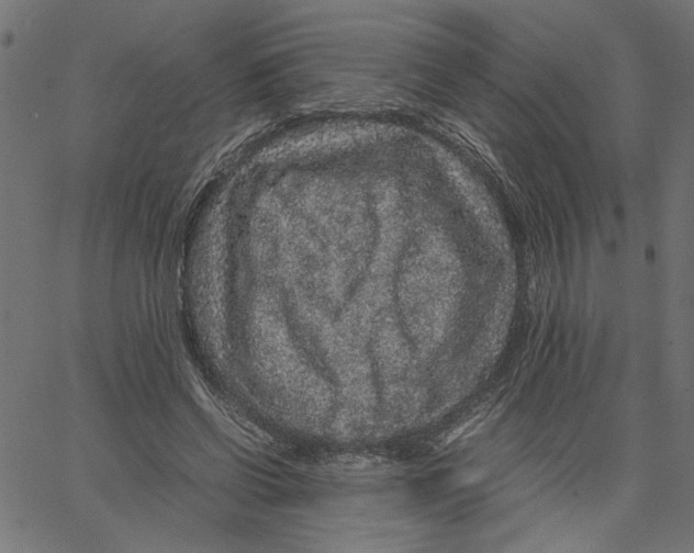 X0000067500542200604281545