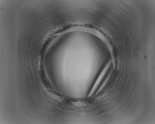 X0000067500544200604281545