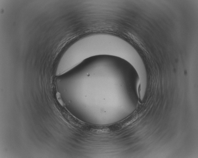 X0000067500548200604281545