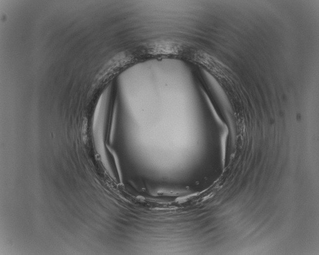 X0000067500556200604281545