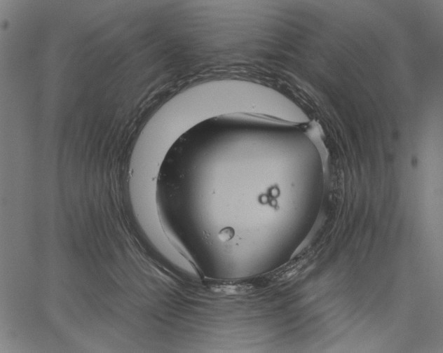 X0000067500558200604281545