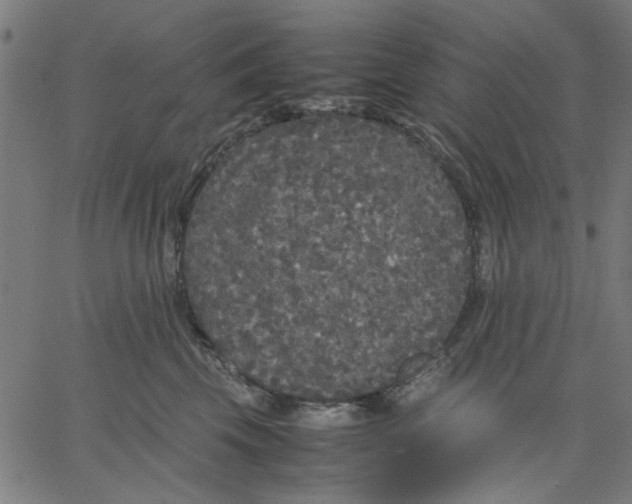 X0000067500569200604281546