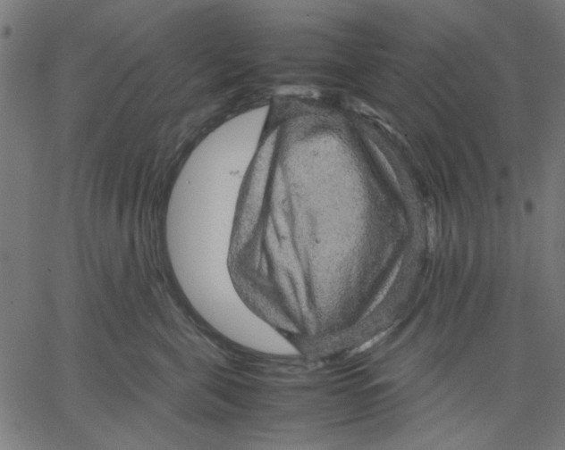 X0000067500571200604281546