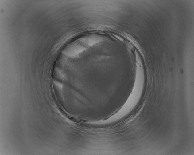 X0000067500577200604281545